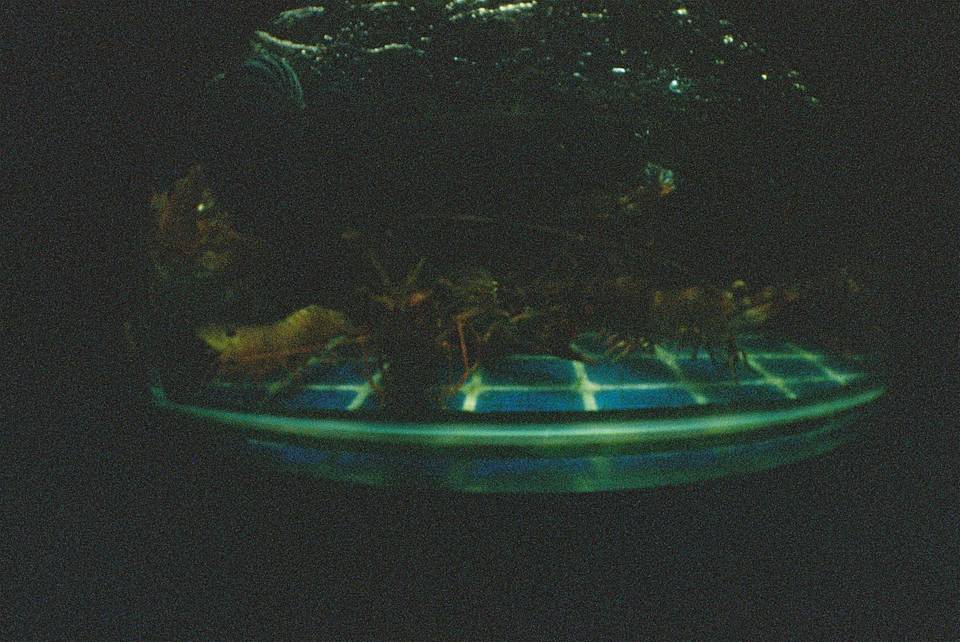© 海南岛国际电影节
