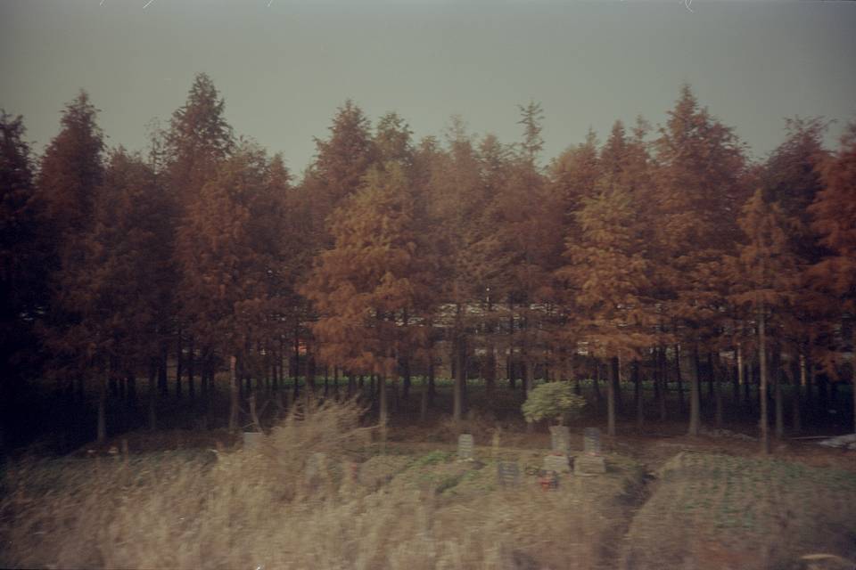 © 乐子毅 | Lomo LC-A Minitar-1 2.8/32 镜头