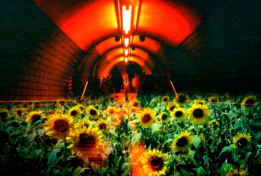Places to Go for Traveling Lomographers: Embankment Station