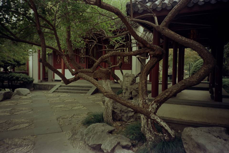 © 乐子毅 | Lomo LC-A Minitar-1 2.8/32 镜头