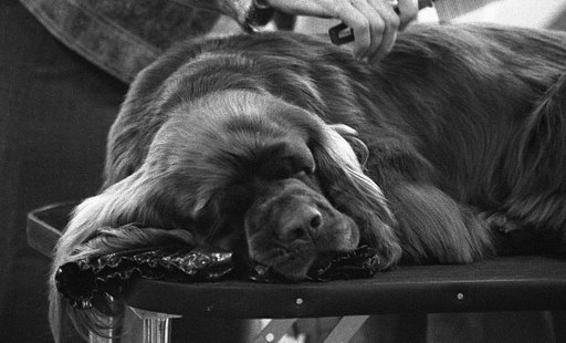Kodak T-MAX (35mm, 3200 iso) User-Review