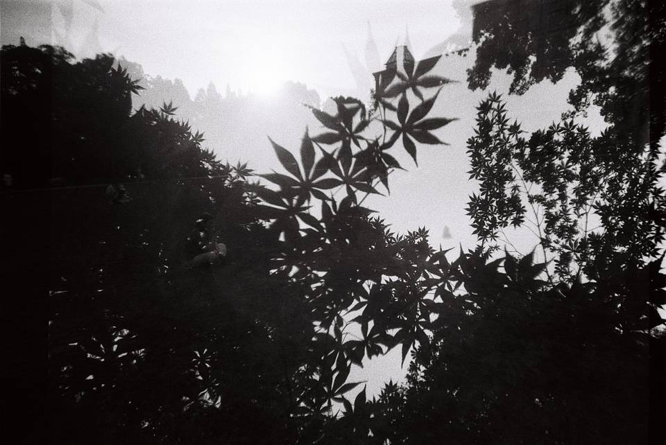 © 王逸帆 | 使用 LomoApparat 21mm 阿帕赫超广角胶片相机 - 巴黎特别版 及 Lomography B&amp;W ISO 400 Berlin Kino 135 柏林电影黑白胶卷 拍摄
