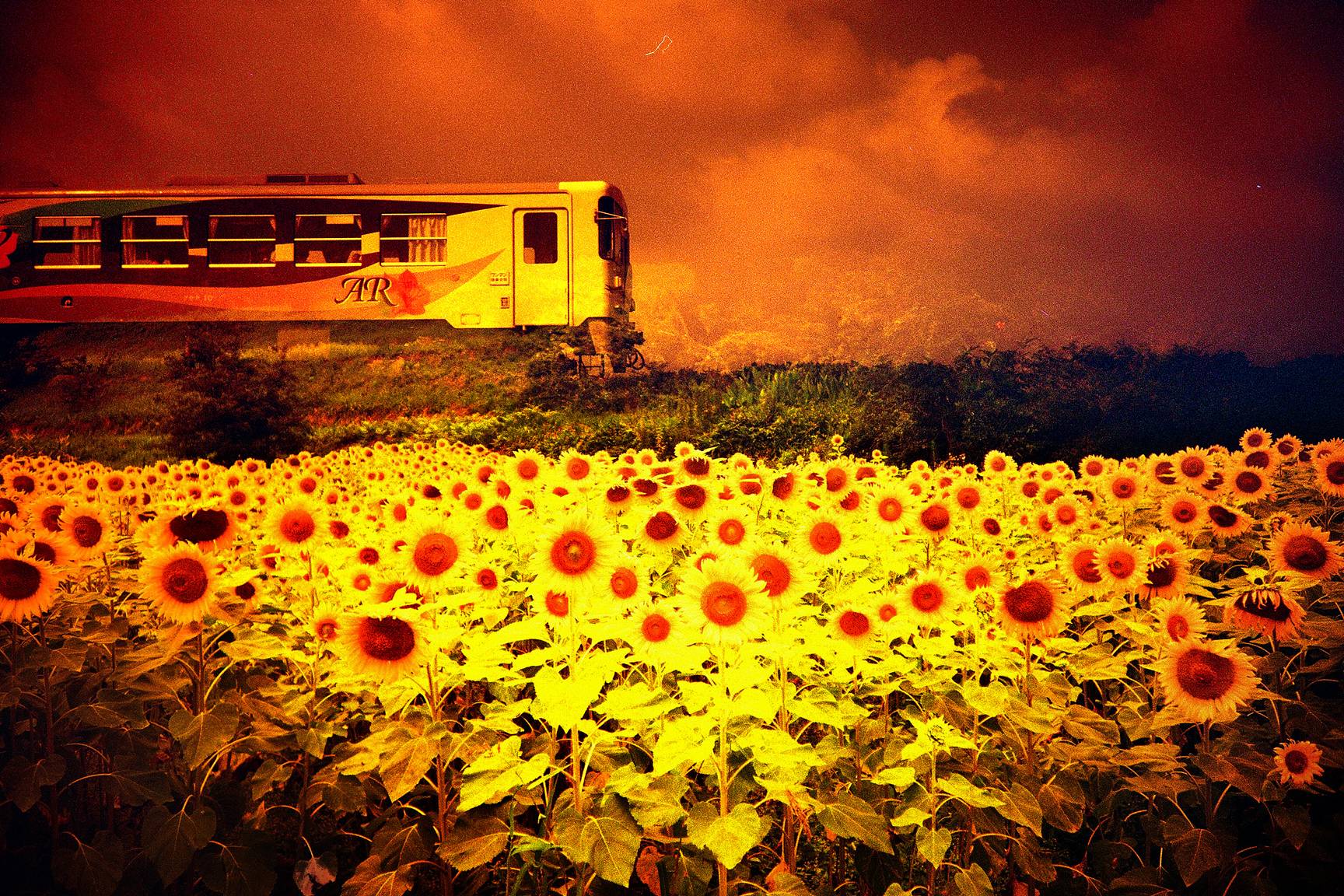 Lomopedia: LC-A+ Splitzer · Lomography