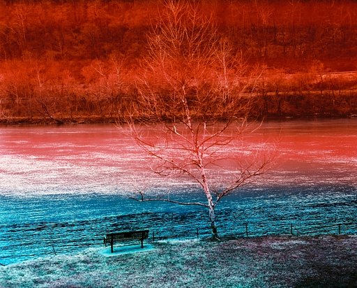 Kodak Aerochrome: цветная инфракрасная плёнка