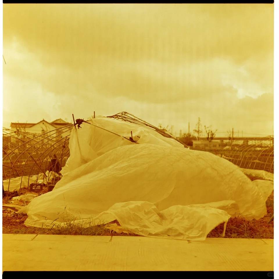 由王可艾使用 Lomography Redscale 红调负片胶卷拍摄