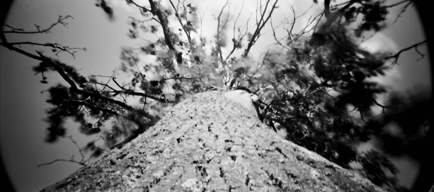 Holga 120 WPC · Lomography