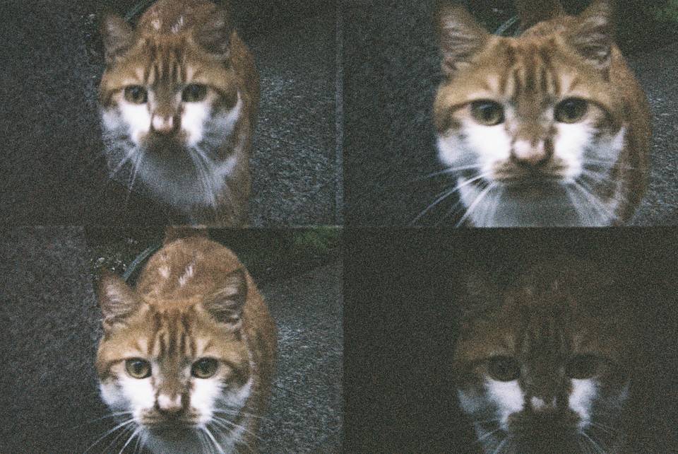 ActionSampler Clear 四格胶片相机 + LomoChrome Metropolis ISO 100–400 135 大都会胶卷－2021 新配方