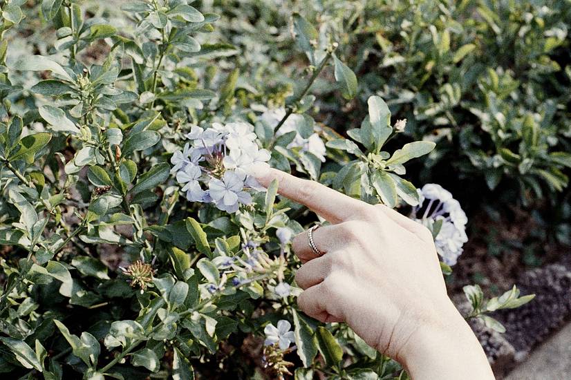 © Cato | LomoChrome Color '92 日落版