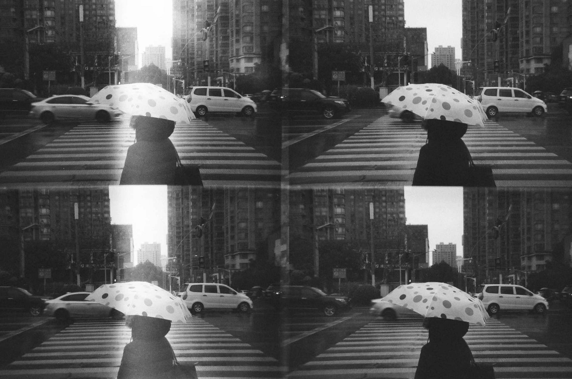 Photo by 陈佳和