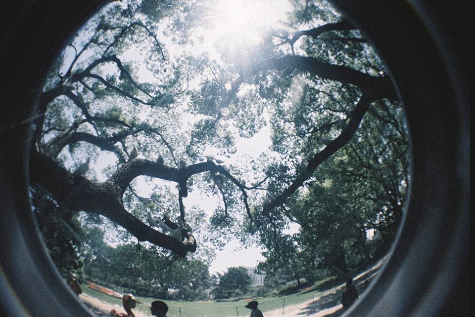 Fisheye No.2 135 第二代鱼眼胶片相机 + LomoChrome Color '92 ISO 400 135 彩色负片