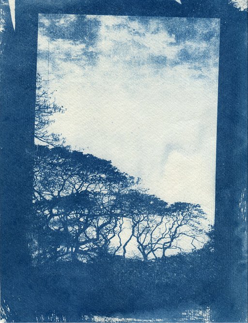 Bolt from the Blue: Cyanotype Workshop