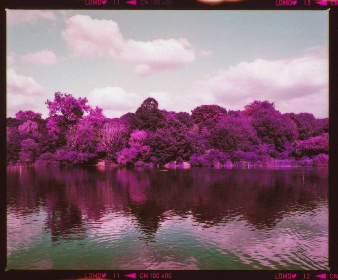 © Alia Romagnoli| LomoChrome Purple 120