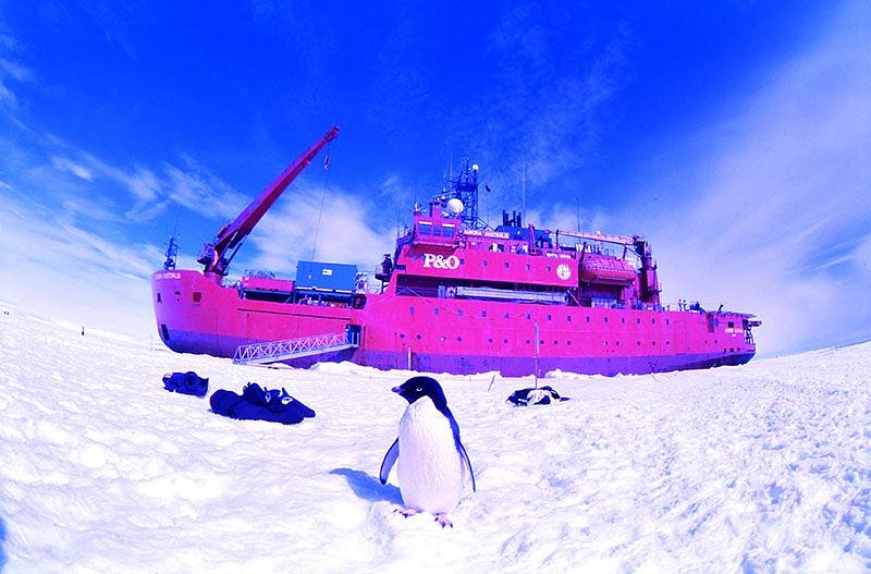 LomoWall Antártida