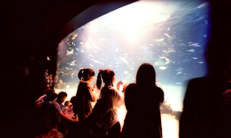 曝光不足的照片｜由 pussylove 以 Fuji Velvia 100F © 拍摄