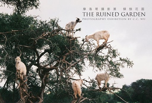 Photography in Town : 「THE RUINED GARDEN 攝影展」－C.C. Wu