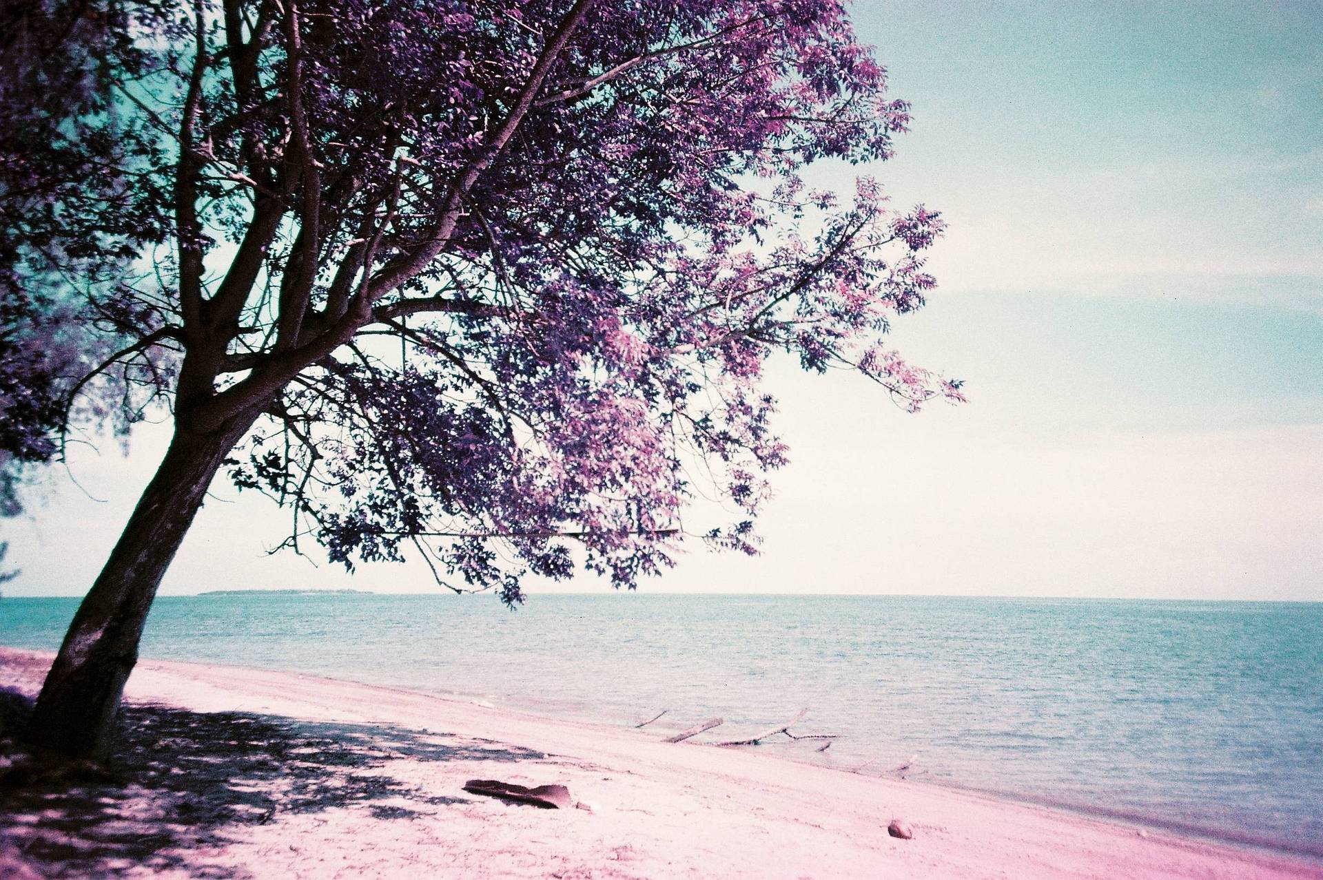 Photo by irhamesar