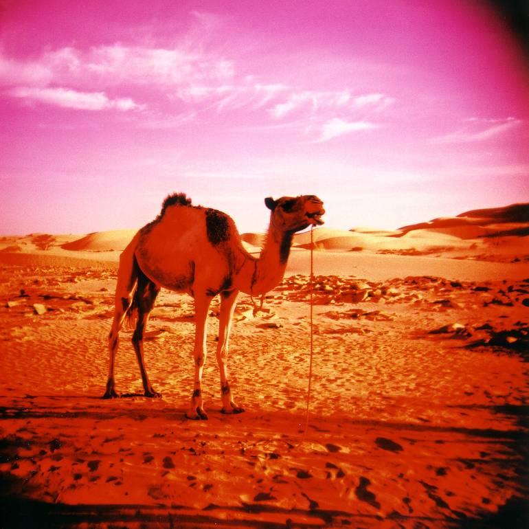 所有照片均使用正片拍摄，并以 C-41 药水冲洗：lomomowlem 以 Lomography X-Pro Chrome 100 拍摄、qrro 以 Fuji Sensia 200 拍摄、frenchyfyl 以 Agfa CT Precisa 100 拍摄、azurblue 以 Fuji Velvia 50 拍摄