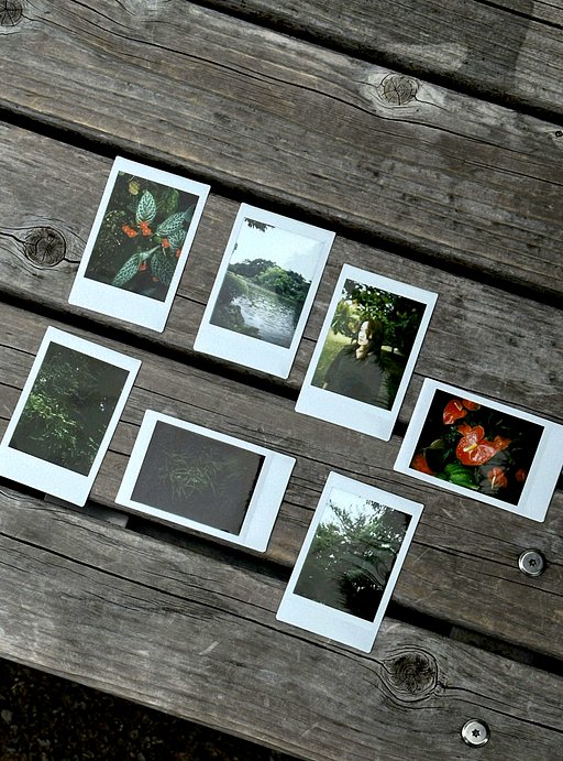 Canon AF35M: The Absolute Automation of the 'Autoboy' · Lomography