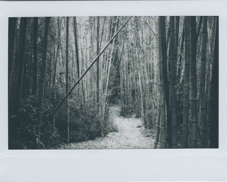 © Vanessa Gonzalez