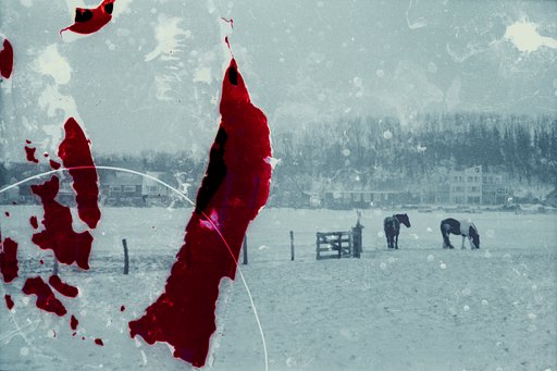 Studying the Film Negative as Matter: a Project by Max van der Wal