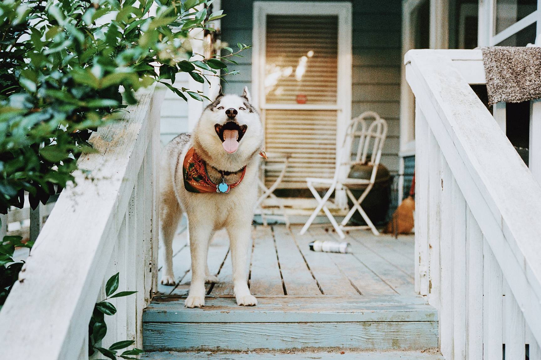 © Kelsey Smith