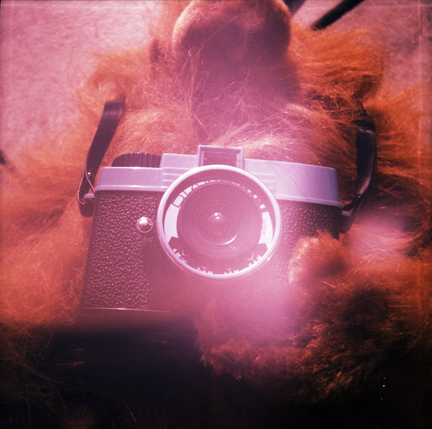 All About Diana カメラ · Lomography