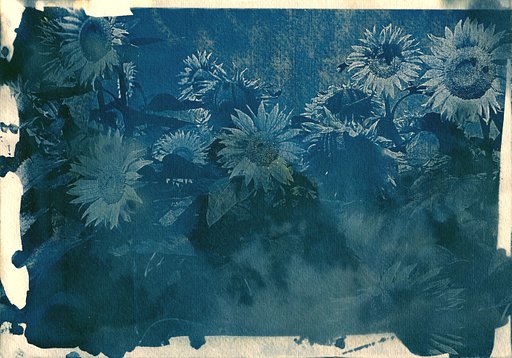 Cyanotype Experiments – by Velvet-Daddy
