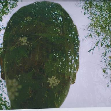 lomobro