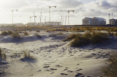 カメラ: Voigtlander Vito II · Lomography