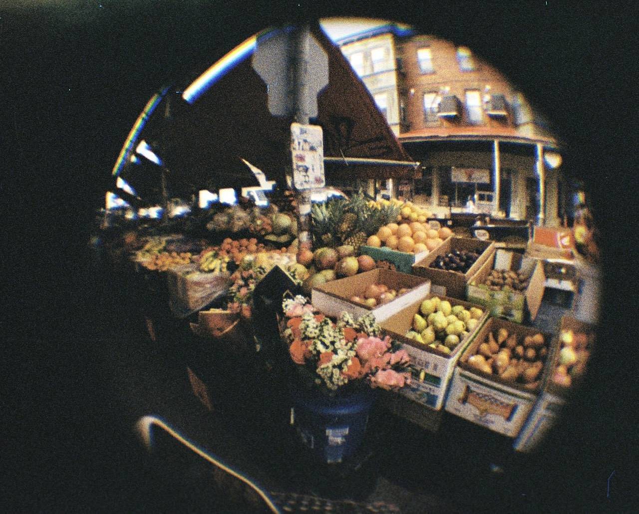 © Megan Swick | Fisheye Baby 迷你鱼眼镜头胶片相机 110 金属版 + Lomography CN Tiger 110 负片胶卷