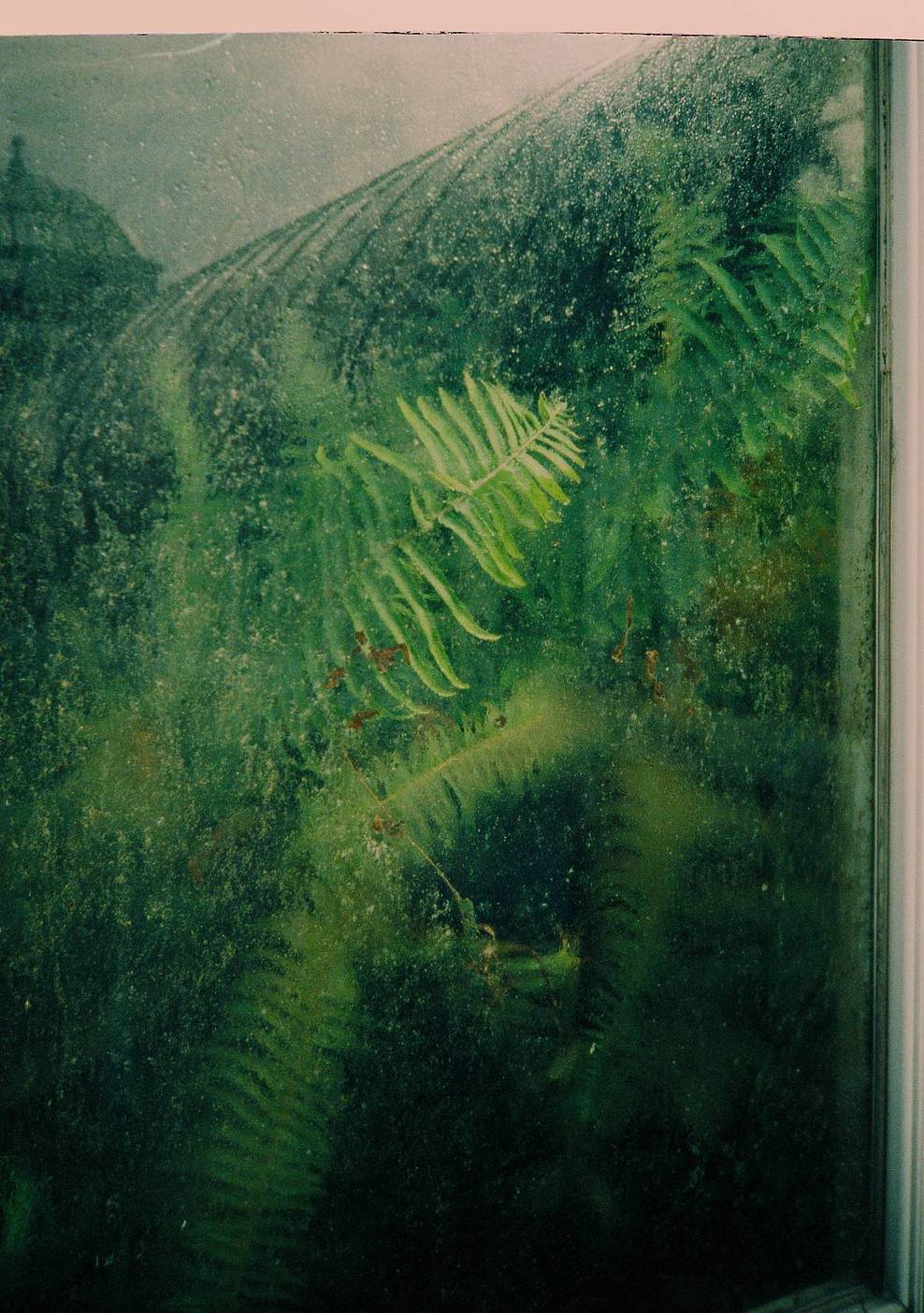 Photos by Ben Fraternale