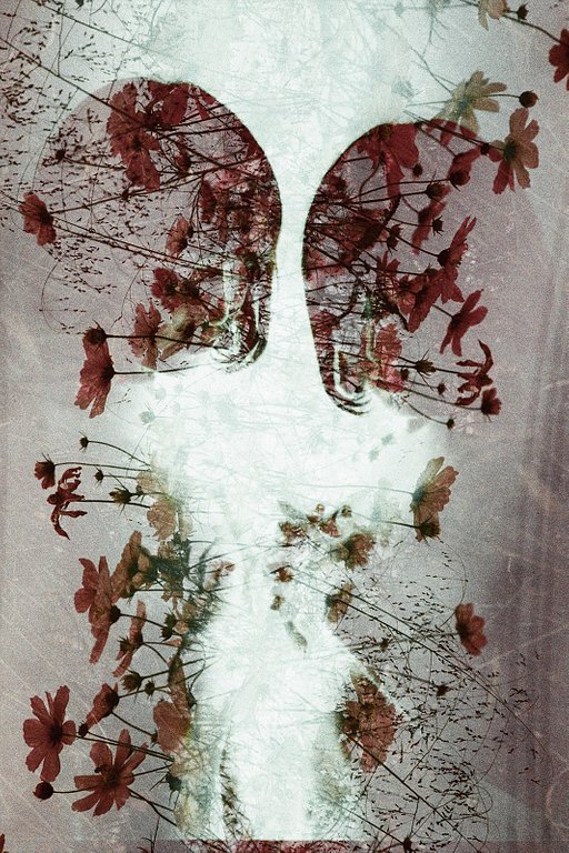 LomoChrome Color '92 Sun-kissed Review by @hodachrome