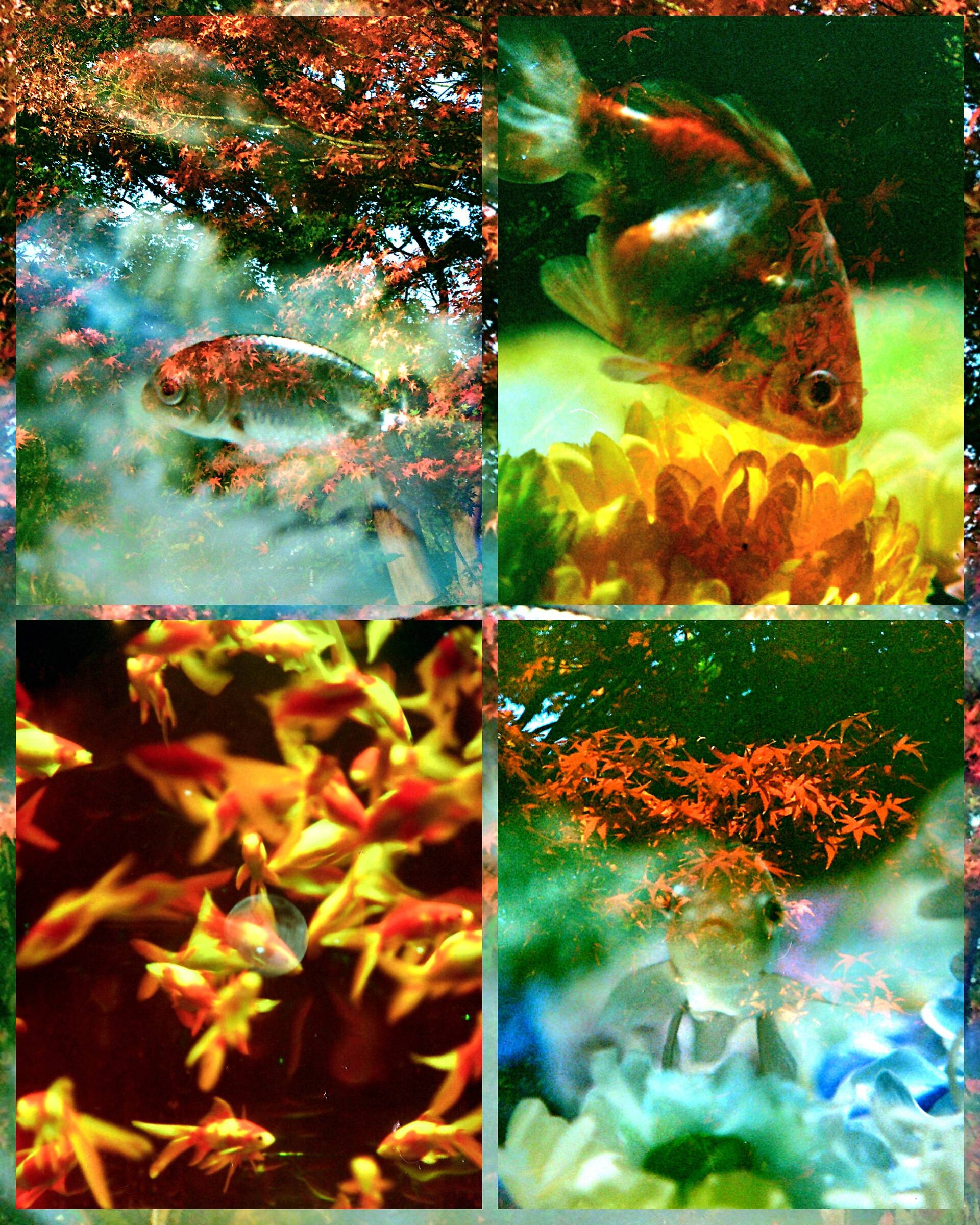 JUSKOLIY RAINBOW LENS FILTER