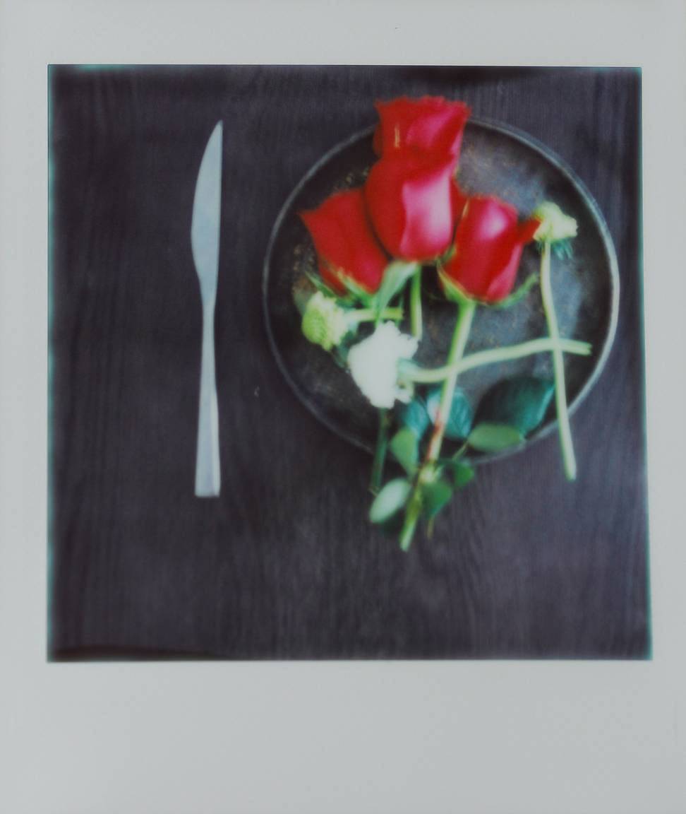 @fotokey_｜ Lomo'Instant Square 方形拍立得相机｜主题：红玫瑰