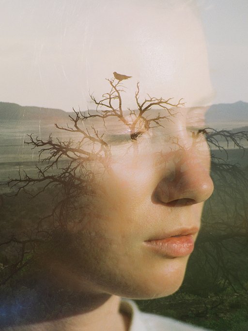 Double Exposure Illustrations by henryohead