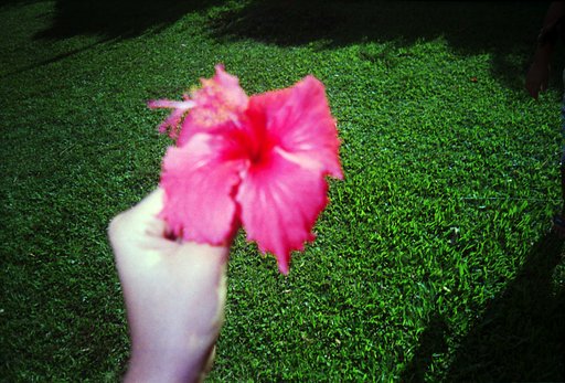 The Raiatea Lomographic Schoolproject: an update