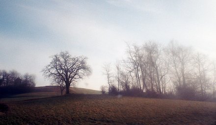 Camera: Nikon Lite Touch Zoom 120 ED · Lomography