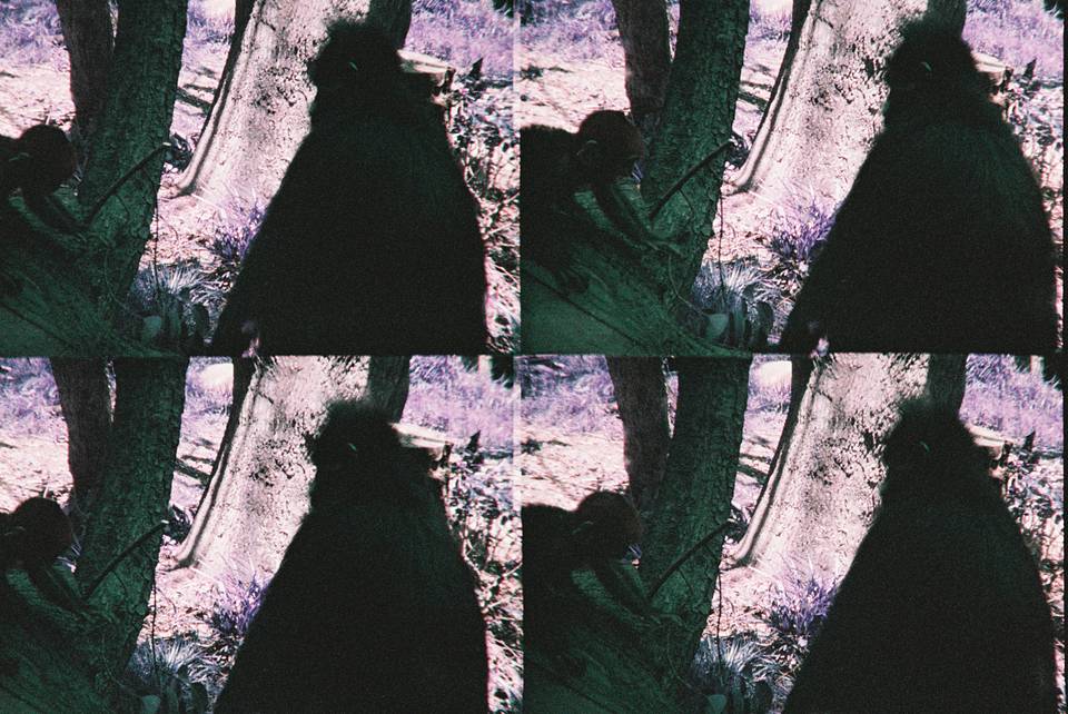 ActionSampler Clear 四格胶片相机 + LomoChrome Purple ISO 100–400 135 紫调负片－ Pétillant 汽泡特別版