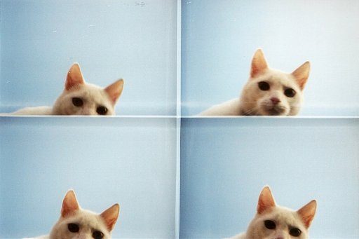 Lomography Basics: The Actionsampler for Beginners