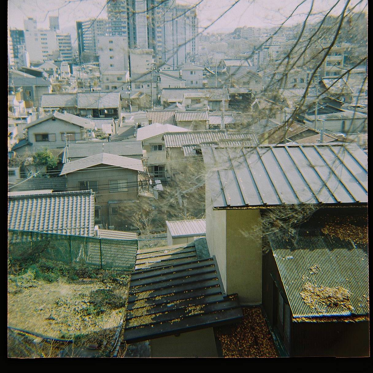 八百富写真機店のスタッフがDiana F+を使ってみた · Lomography
