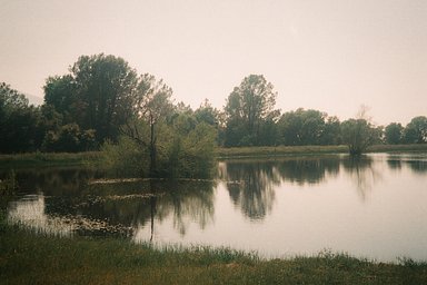 Camera: Canon Autoboy WT28 · Lomography