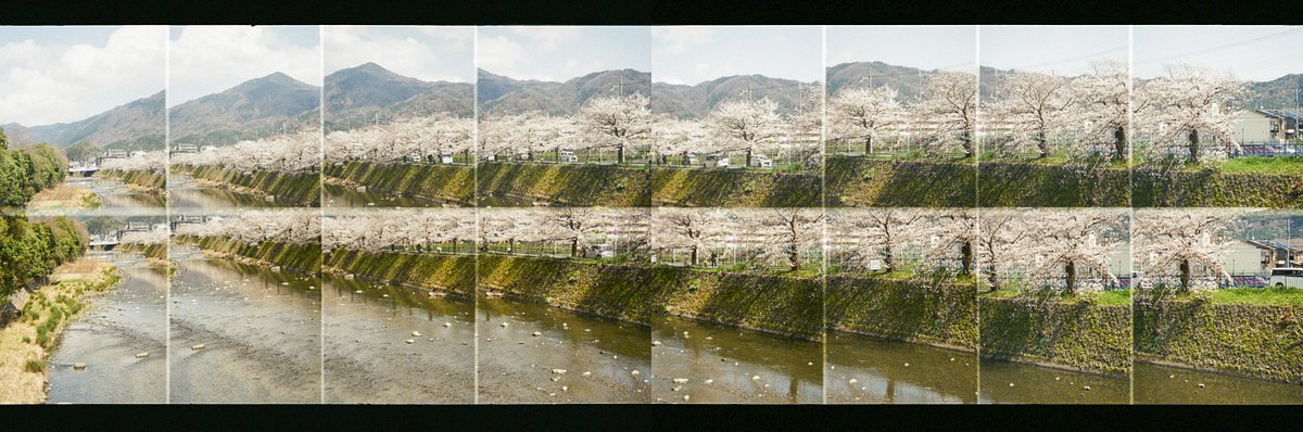 Camera: Fujifilm Rensha Cardia BYU-N 16 · Lomography