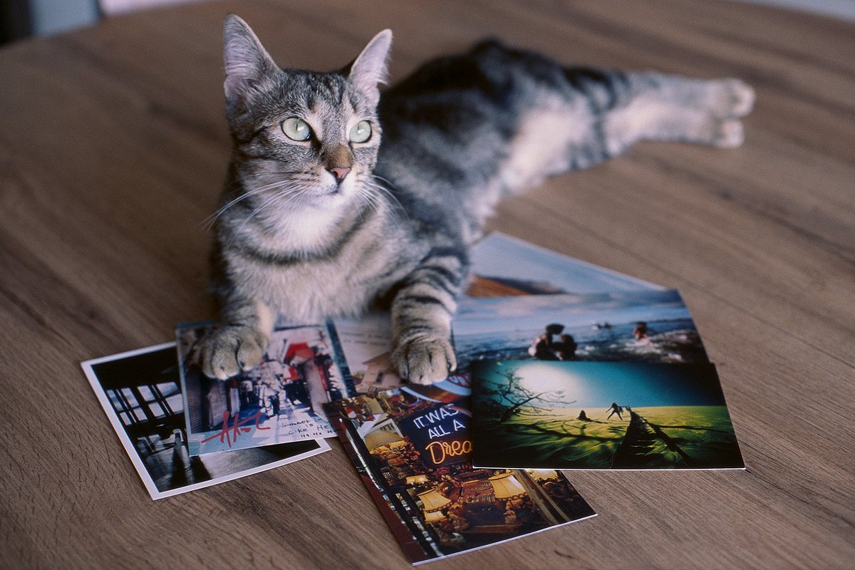 Collecting Mailbox Memories: Stories from the Lomographers’ Print ...