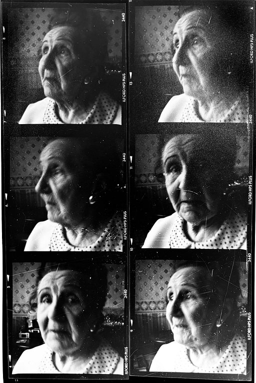 Everybody, This is the Mamiya/Sekor 500DTL · Lomography