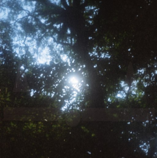 Yashica MAT 124: Learning To Use A Camera Older Than Myself
