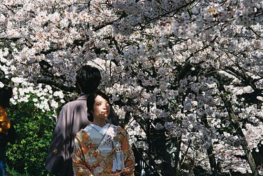 Lens: Olympus OM-Zuiko 35-70mm S f/3.5~4.5 · Lomography