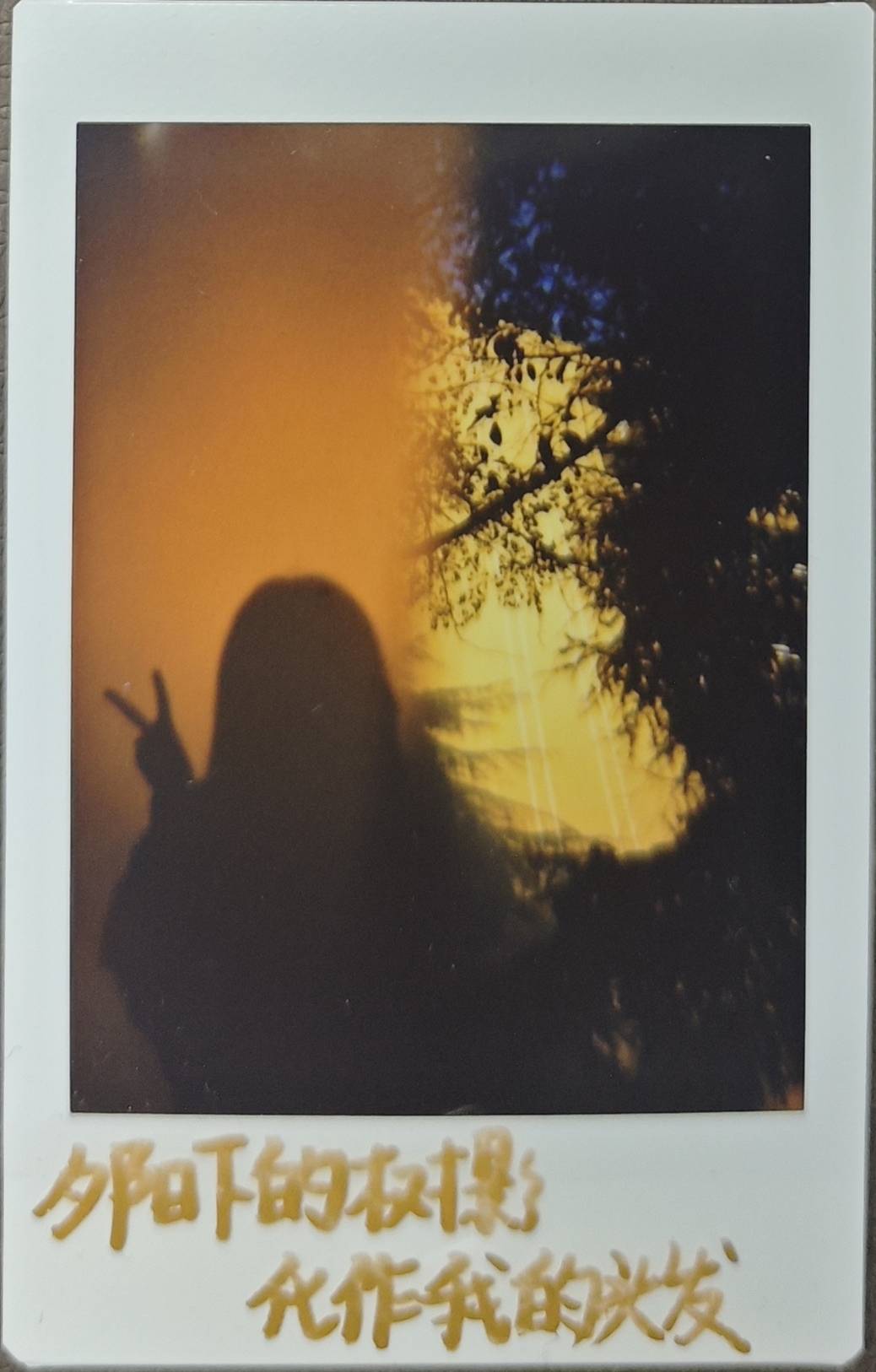 使用 Lomo'Instant Automat 自动拍立得相机 拍摄
