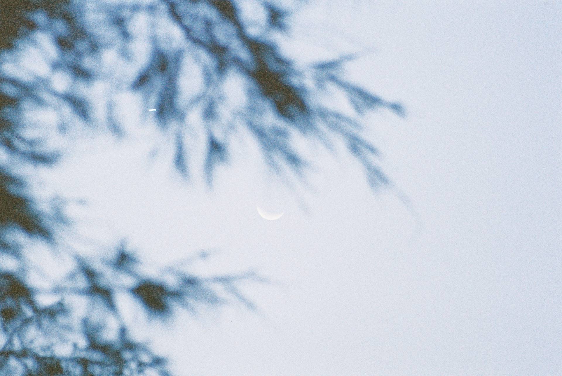 © 德铭 ｜ LomoChrome Classicolor ISO 200 135 经典版彩色负片