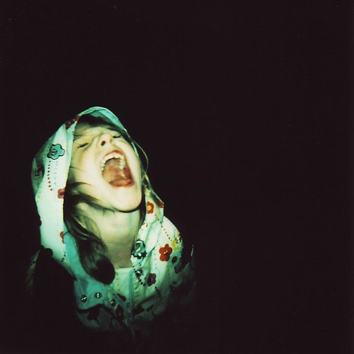 The Great Big Lomography Film Bible: Colour Reversal/Slide Film Edition