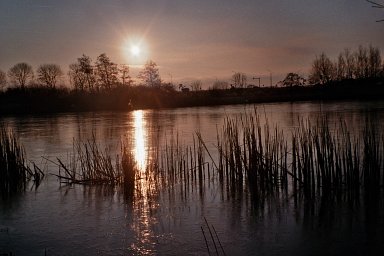 Camera: Nikon Lite Touch Zoom 110s AF · Lomography